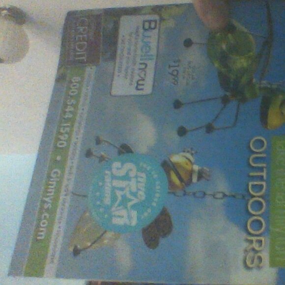 Ginny Magazine Credit Earned 5 Star Rating Fun Outdoors Bug Decor 2021 March'21 - Picture 3 of 4